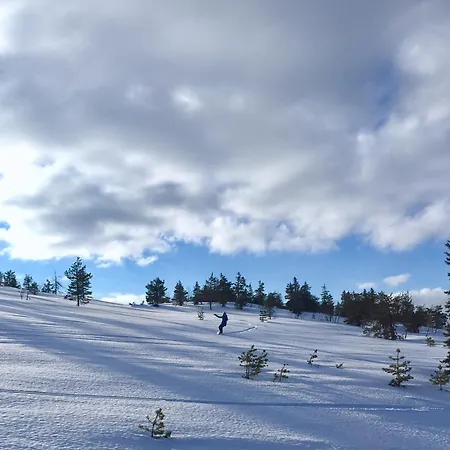 Aurora Lapland In, Forest View, 2 Bdr, Sauna, Terrace, Fireplace, Wifi, Pyhae-luosto National Park Διαμέρισμα *