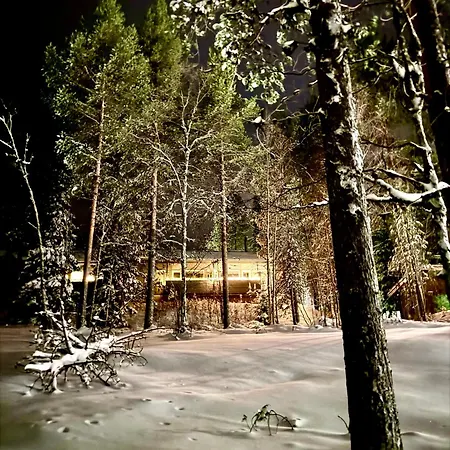 Aurora Lapland In, Forest View, 2 Bdr, Sauna, Terrace, Fireplace, Wifi, Pyhae-luosto National Park