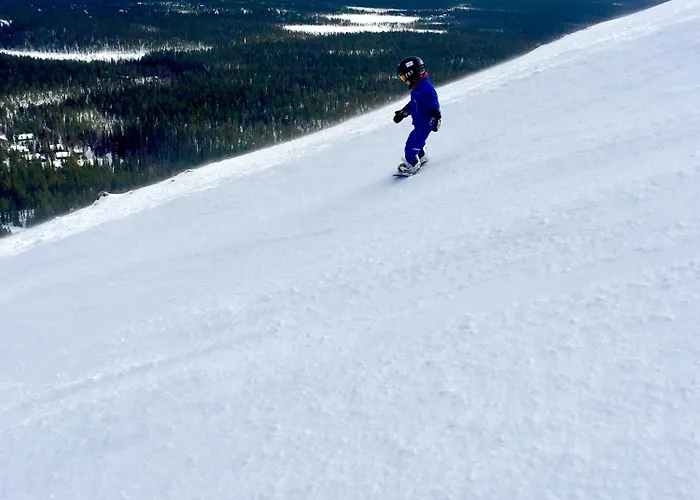 Aurora Lapland In, Forest View, 2 Bdr, Sauna, Terrace, Fireplace, Wifi, Pyhae-luosto National Park شقة *