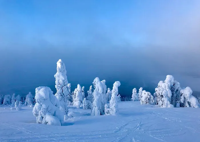 Aurora Lapland In, Forest View, 2 Bdr, Sauna, Terrace, Fireplace, Wifi, Pyhae-luosto National Park شقة