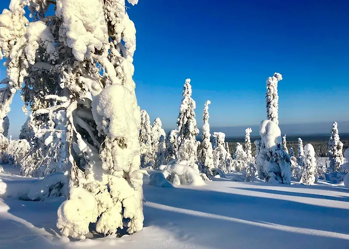 شقة Aurora Lapland In, Forest View, 2 Bdr, Sauna, Terrace, Fireplace, Wifi, Pyhae-luosto National Park *