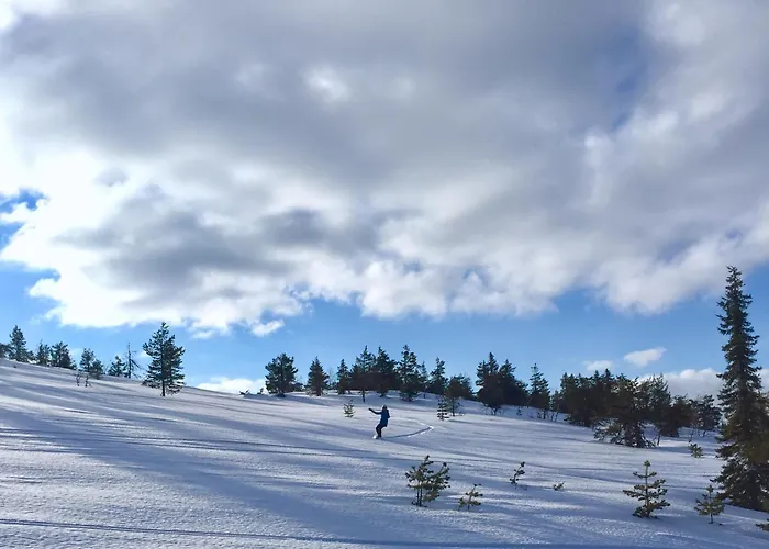 Aurora Lapland In, Forest View, 2 Bdr, Sauna, Terrace, Fireplace, Wifi, Pyhae-luosto National Park شقة *